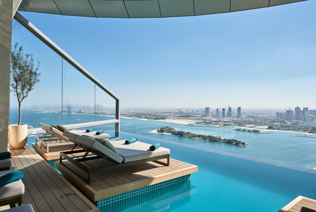 Palm and water view